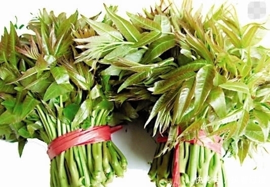 医生叮嘱:这三种青菜吃之前一定要烫一下,尤其是最后一种!