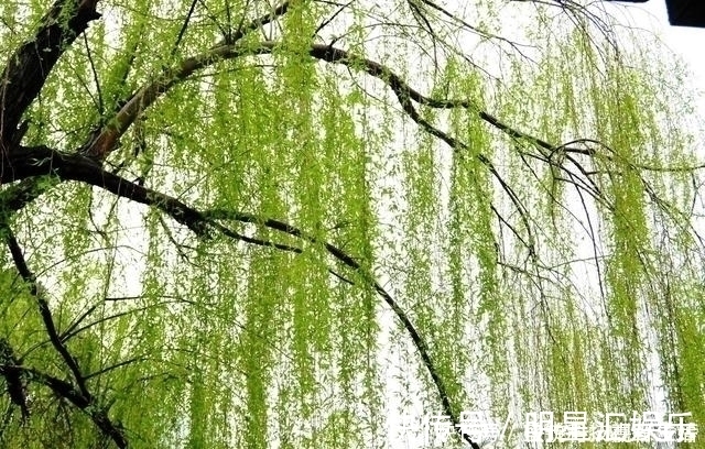 使至塞上#王维最感人的一首诗,句句都是千古名言,感动了历代无数的读者