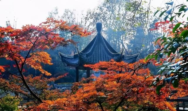 江南最美赏秋地：乾隆来过5次就在南京，被誉“金陵第一明秀山”