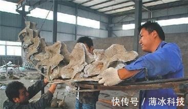 农家汉$他鱼塘挖到天价石头,专家:底下还有切记保密,他一守就是10年