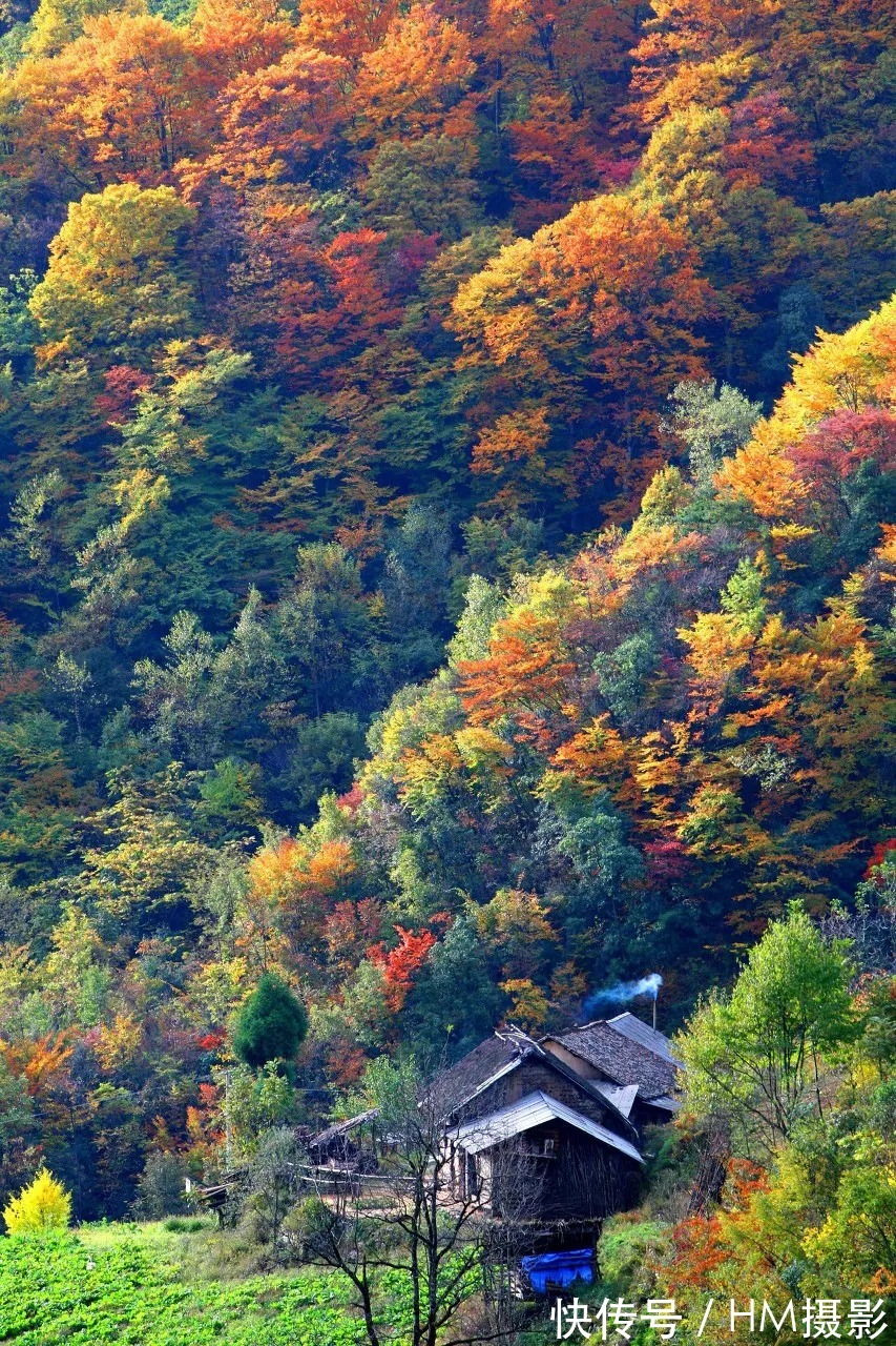 神农架|10月旅游地推荐！错峰出游，这些地方已美成仙境