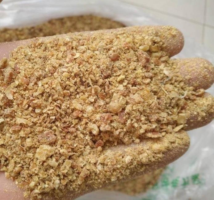 君子兰|君子兰施什么肥好肥料选择方法交给你!君子兰叶片肥厚,叶纹深