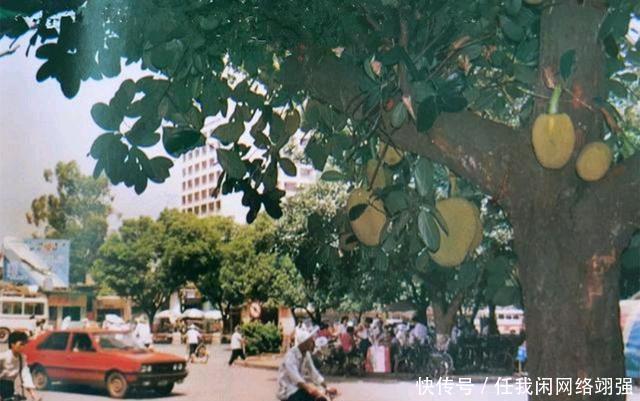 下图|广西老照片，1984年南宁街头景象流出！看下这些场景你认得不