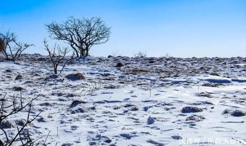 华阳|【登秦岭之巅】雪色浪漫之华阳草甸~