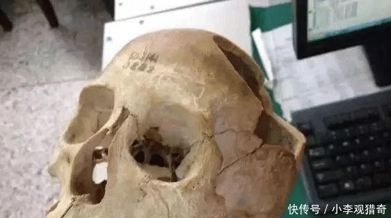 脑壳|脑壳发凉,这玩意儿也是文玩吗