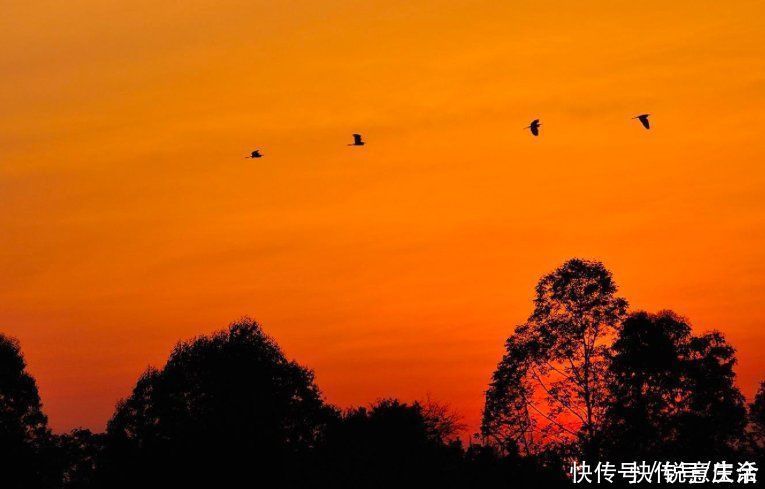 长亭连短亭|李白很经典的一首词,浑然天成的意境,令人赞不绝口