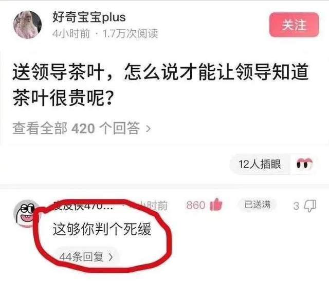 |搞笑合集:村子里有一群神秘人,整日打牌不愁吃喝,哪来的钱