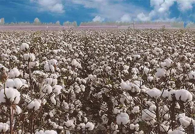 克斯坦|苏联人留下的生态悲剧铁打的大坝，50年被榨干的咸海