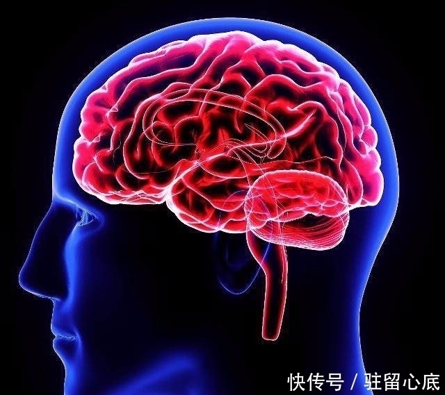 神经细胞|每天走路运动的人,最后得到了什么?这4种问题“悄悄”走没了!