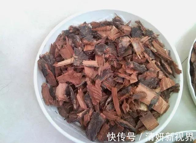 天冷后，吊兰、绿萝埋3种免费东西，再冷也能长成绿窗帘