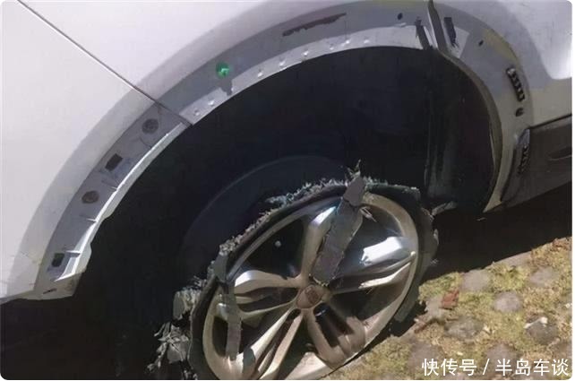 小树林里|共享单车“黄了”,车内一片狼藉,集体被扔小树林