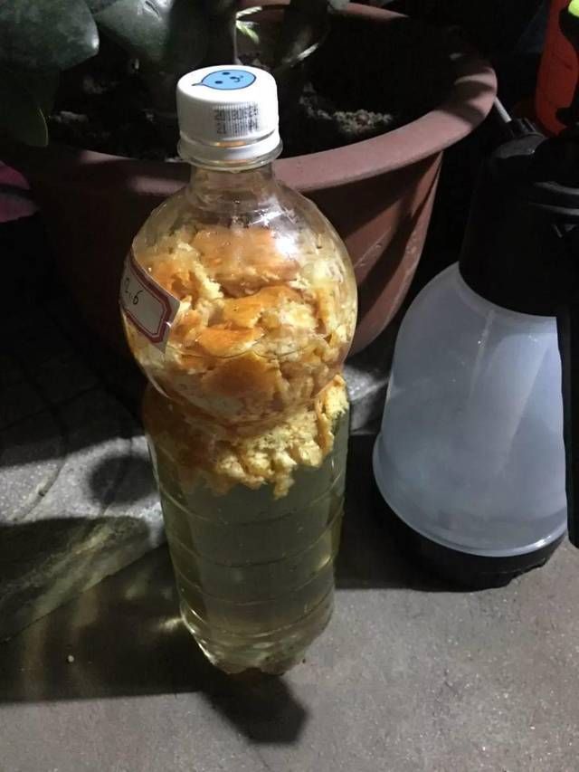 吃完的橘子皮,柚子皮,不要丢,切碎装瓶子里,秒变天然肥