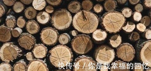 樟子松|买实木家具什么木材好越不知道越要搞懂这几点，闭眼也能挑好的