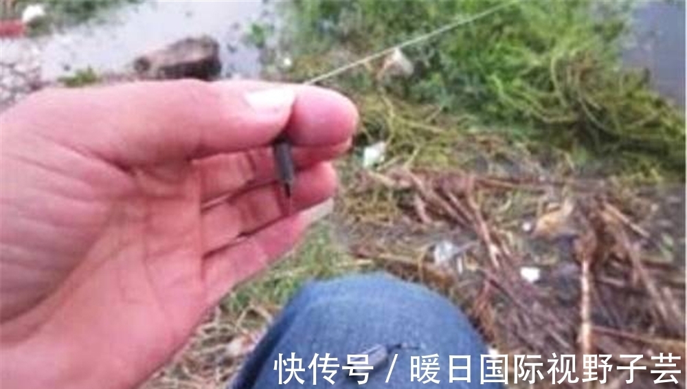 夏季|夏季野钓，遇上杂鱼疯狂闹窝，你会如何处理？是收杆还是继续守？