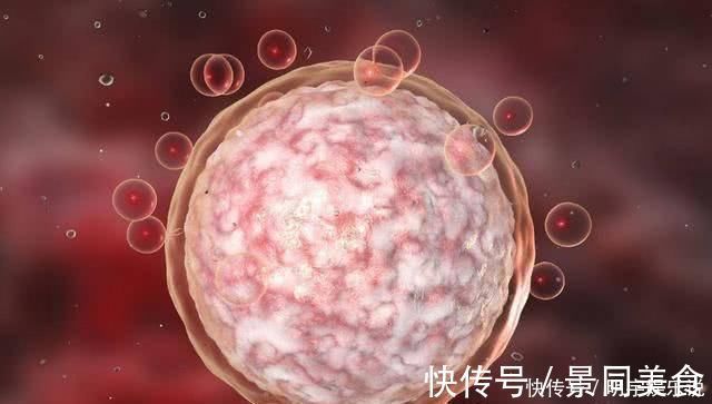 输卵管|如果卵子没遇到精子,那么排出的“卵子”去了哪里害羞也看完