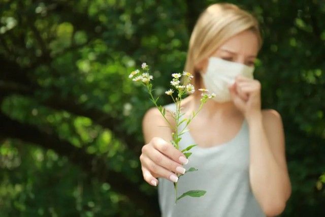 鼻子|秋天第一回打噴嚏、鼻子癢，“花粉過敏”高峰期又來了