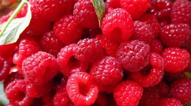  排毒|人到中年坚持吃四种食物，补充营养、排毒养颜，早吃早好