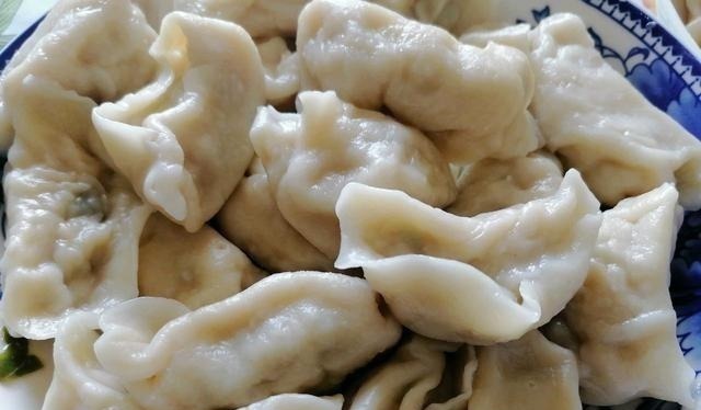 入秋后,就馋这个馅的饺子,东北人就好这一口,比萝卜韭菜鲜多了