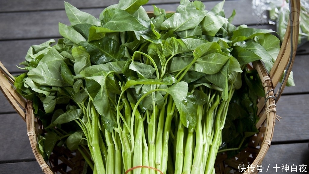 木质素|空心菜有什么作用呢?空心菜的3大作用你知道吗?你可能不知道