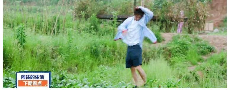 蘑菇房|3年了,黄渤还是那么“任性”,而向往的生活却迷失了方向