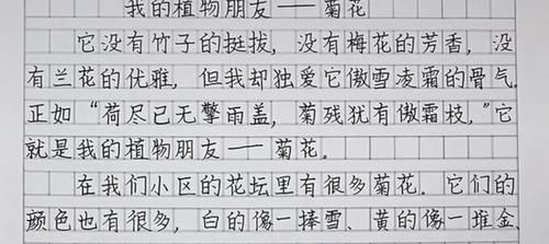 老师晒三年级学霸满分作文，字迹堪比“印刷体”，成家长传阅焦点