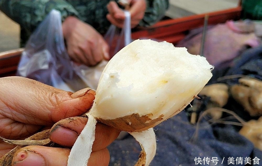 蔬菜|味道比苹果还好吃,既是水果也是菜,一斤5毛,10月正当季