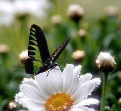 人心&良言20句,见证人心,看透人性看一次胜读十年书