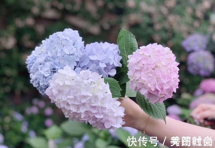 无尽夏|庭院改造：50㎡的下沉式庭院造花园，有地我也建一个，太好看了！