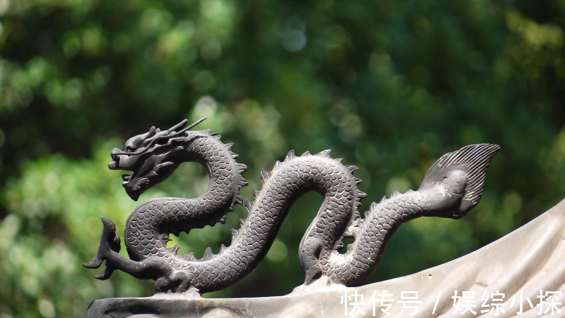 冬天|属龙是哪年出生的好?现在才知道,属龙的几月出生最好?