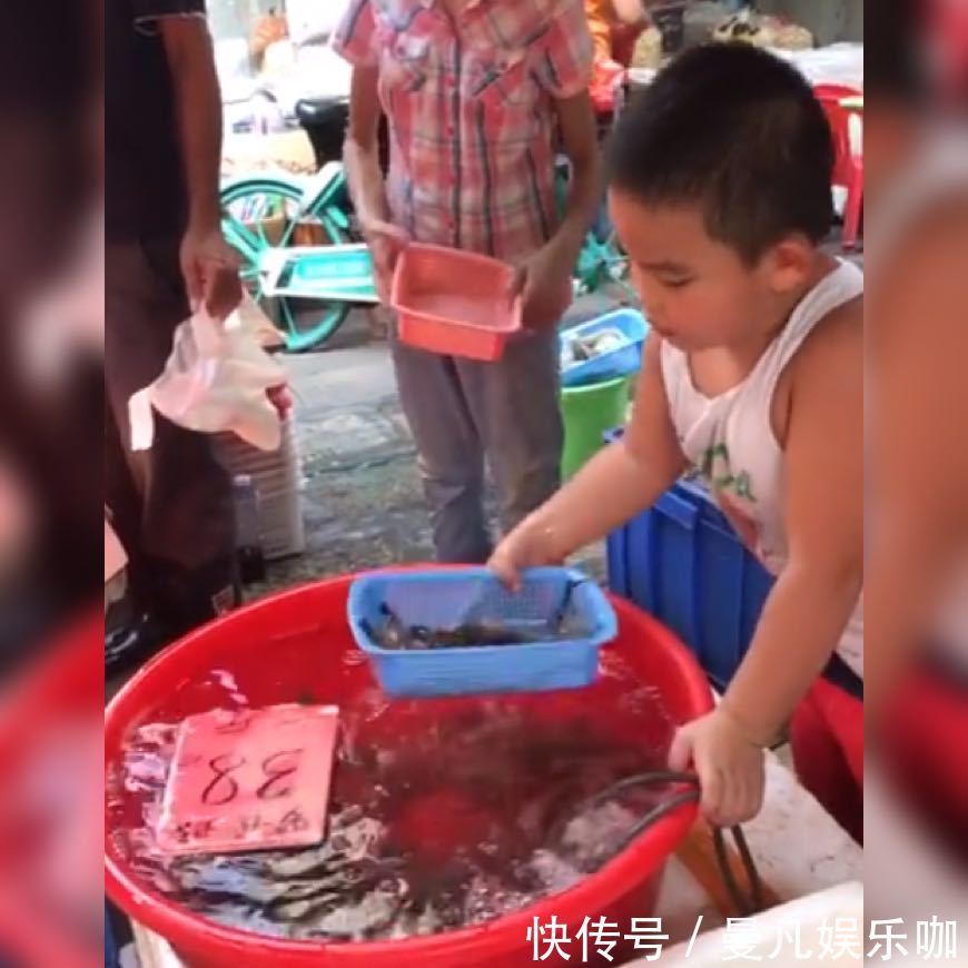 生活环境|小男孩帮爸爸娴熟地“做生意”火了,网友:这么小就有老板架势了