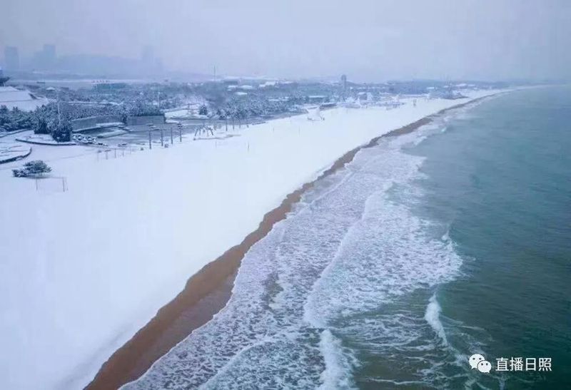 日照|下雪了！日照这些地方的雪景简直美得不像话