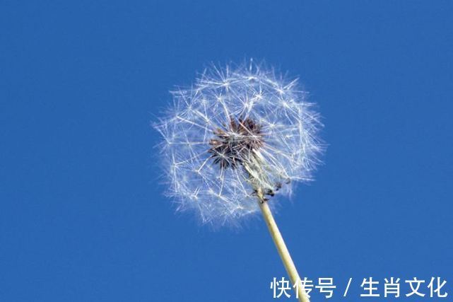 霉运|来年1月起，3生肖霉运不见喜事来，事业如日中天，取得好成果！