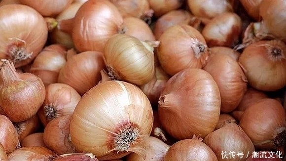 洋葱你不知道的冷门知识，吃对了身体好，吃错了小心肾结石
