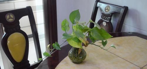 餐桌|餐桌旁不要放这3样东西,不是迷信,别不当个事,发现了赶快拿走