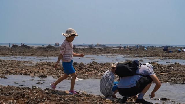 海参|潮汐公社清凉一夏欢乐拾贝周盛大开幕，泽库镇迎来“赶海潮”