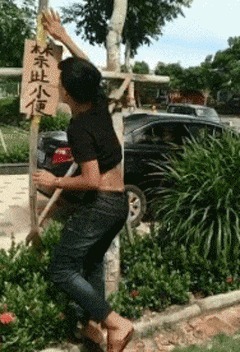 |搞笑GIF趣图:老婆,咋还能生出两个黑的来?你解释一下