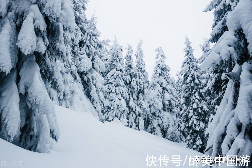 云海|探访西岭雪山，山顶终年积雪，前山与后山各具特色