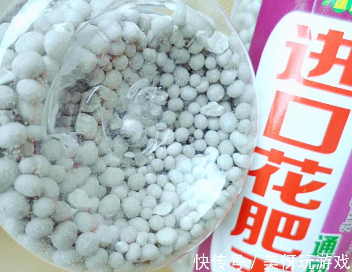 养花肥“又杂又贵”？认清3元素，花几块钱，养一百种花