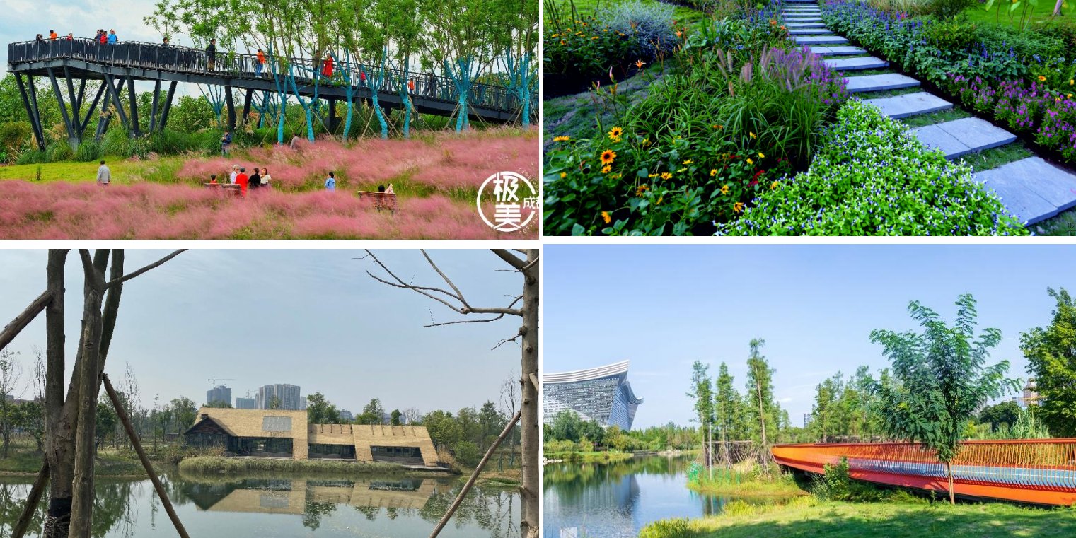 红星观察丨春节消费新场景，成都“幸福生活经”带来了什么商机？