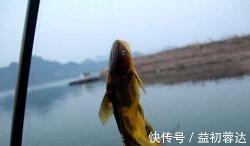 钩体|蚯蚓钓鱼使用小技巧,让钓鱼爱好者少走弯路