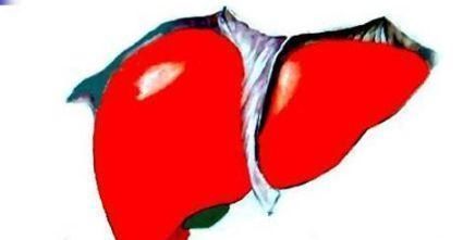 阳陵泉穴|胆经一通,万病无踪!1个穴位通肝胆,5大疾病全解决