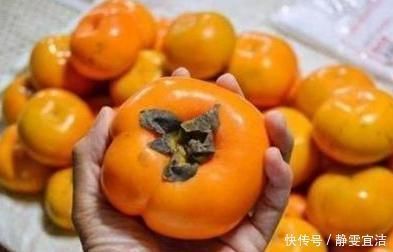 柿子|一个柿子可治“3种”疾病,很多人还蒙在鼓里,告诉家里人