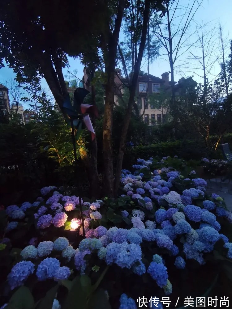 下午茶|一楼430㎡大院子,用1年半建成花园,网友:你这是建了个公园吧?