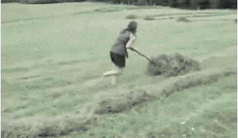 |搞笑GIF图:是时候该减肥了,不要再迷了你现在已经撞南墙了