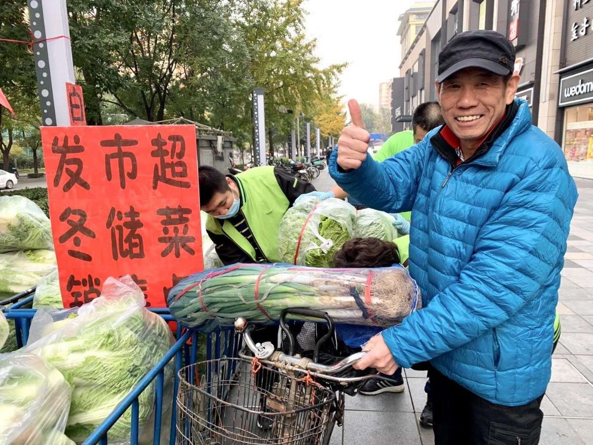 冬储|“一包白菜一捆葱，温温暖暖过一冬” 北京冬储菜大量上市