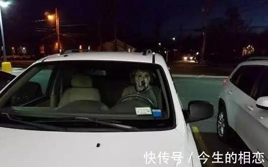 |搞笑段子：有哪些段子，能让人笑到肾抽筋？第99辑