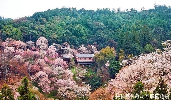 上联|贴在厕所的奇趣对联,只能意会不能言传,读个对联比上厕所还过瘾
