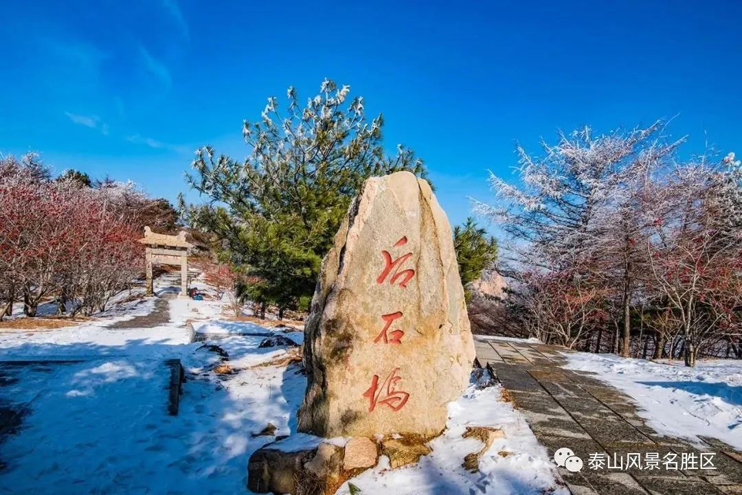 老年|跟随姚鼐的散文《登泰山记》冬览泰山