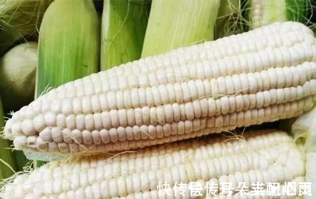 发物|玉米是胃炎的“发物”?医生:想胃好,或可常吃这几种食物
