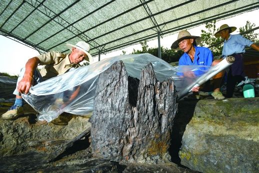 环壕$“史前木构豪宅”惊艳亮相湖南 勾勒5000年前盛景